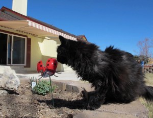 Enjoying the spring sun