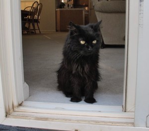 crossing the threshold