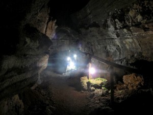 One unexpected attraction at El Chato was the huge lava tunnel that was 80 meters long. It was long and perhaps 15 feet tall at its highest point. It was also very humid in the tunnel. Where the illuminating lights were, little plants were growing. I’ve never seen anything like that in the lava tunnels in Hawaii.