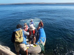 We landed at El Barranco (precipice, cleft or great difficulty) 