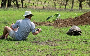 Rich was just sitting on the ground and this young tortoise walked within a couple of feet of him.