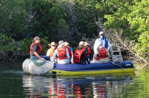 The Zodiac was our mode of transportation for any excursion from the Galaven. The trees in the background are mangroves