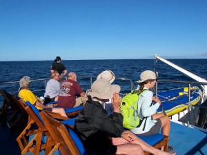 We were told there would be whales to see while underway on this steretch of the ocean, but Shirley was the only person to sight one.