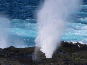 Blowhole in action