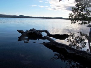 It was getting toward dusk when we made a move to return to the ship. There is a rule that all parties must be off the islands by 6 PM and I think we were pushing it a bit.
