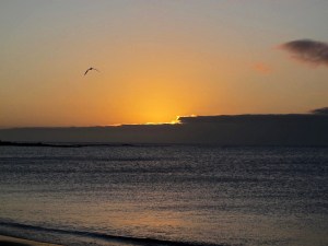 I would not be my father’s daughter if I didn’t take some sunset pictures.