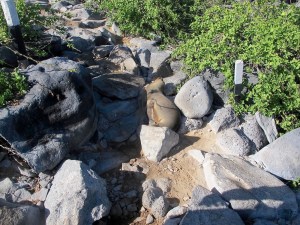 I can snooze anywhere!