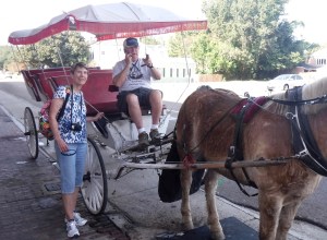 Our carriage that took us on a tour of Natchez. I find it ironic that the carriage driver is on his cell phone.