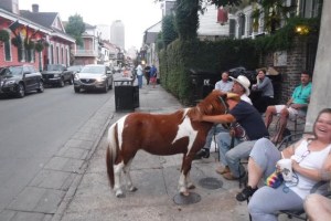 Without the help of my friend RDS, I could not have posted this picture because it would not have been family friendly :-)