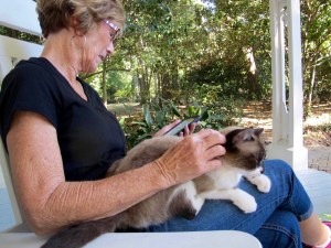 Our tour was extremely well done and Larry the cat added to the ambiance. He loved Jerri.