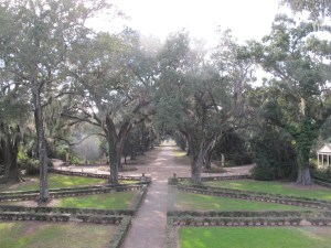 Looking down oak allee