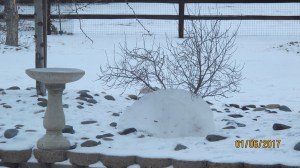 Half of that ice is sitting behind the other birdbath. It’s been there for a couple of days and has not diminished in size.