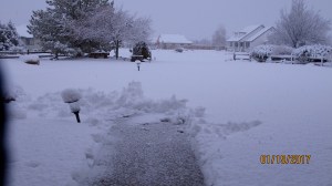 I had to give a tour at the Museum this morning and thought twice about shoveling my driveway. It is three cars wide and I generally shovel only half…to be able to get the car out. It takes quite a bit of effort to get just half done.