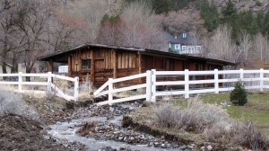 A broken fence might be the least of the owner’s problems here.