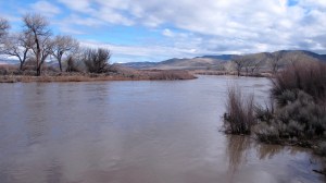 The Carson River is breeching its banks at Cradlebaugh Bridge on Hwy. 395.