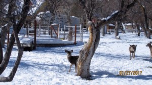 A picture I showed you in a recent blog.