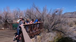 After seeing an introductory movie, we walked on an all-accessible boardwalk to Crystal Springs. Here are the rail birds looking at the springs.